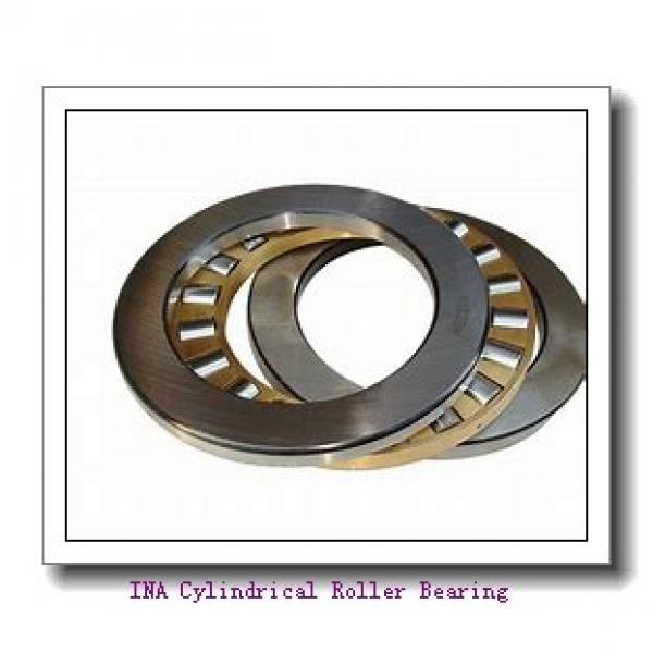 INA F-53597 Cylindrical Roller Bearing #2 image