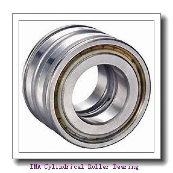 INA F-216642.6 Cylindrical Roller Bearing #1 image
