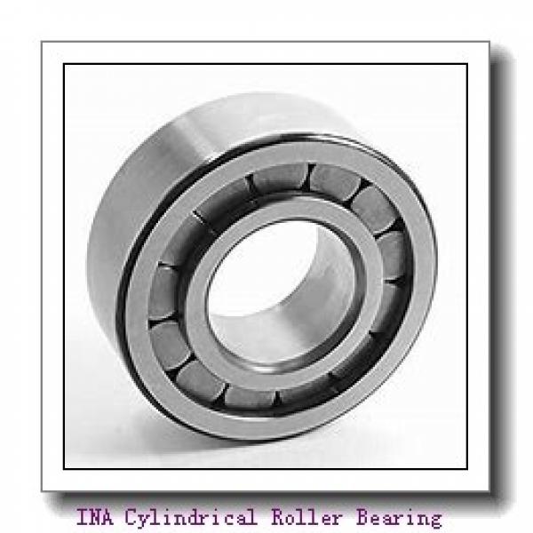 INA F-227410 Cylindrical Roller Bearing #2 image