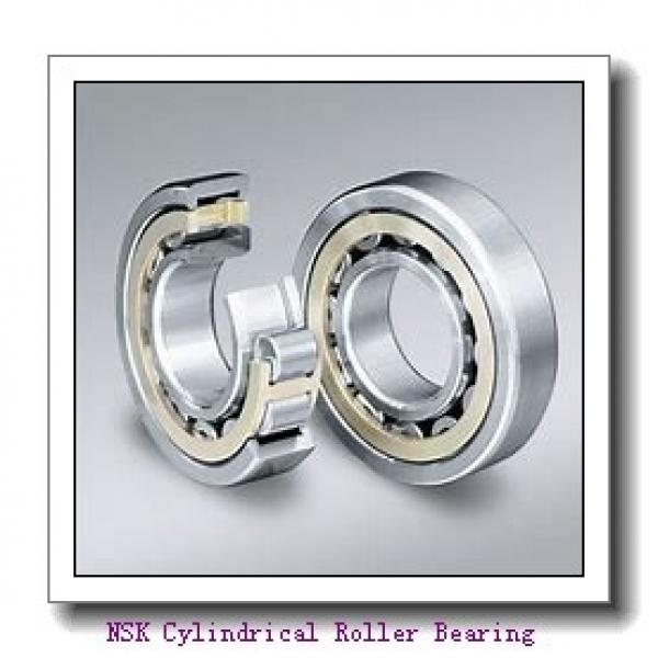 NSK NJ336EM Cylindrical Roller Bearing #2 image