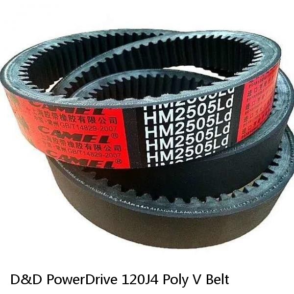 D&D PowerDrive 120J4 Poly V Belt #1 image