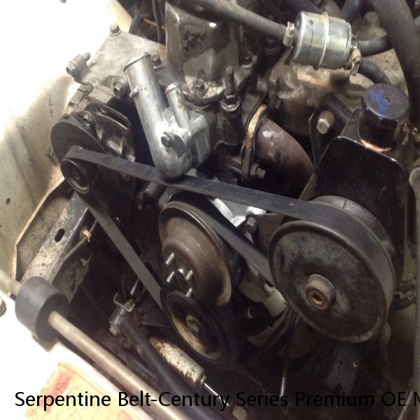 Serpentine Belt-Century Series Premium OE Micro-V Belt GATES K080830 #1 image